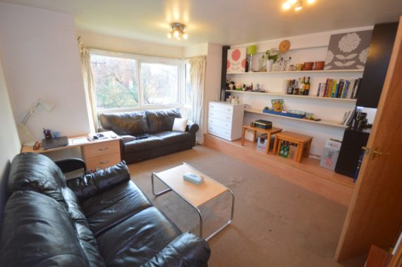 1 Bedroom Apartment